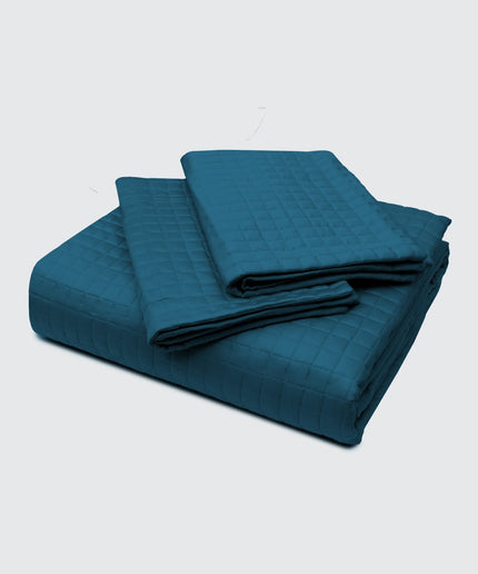 Blue Quilt and bedsheet with pillow case